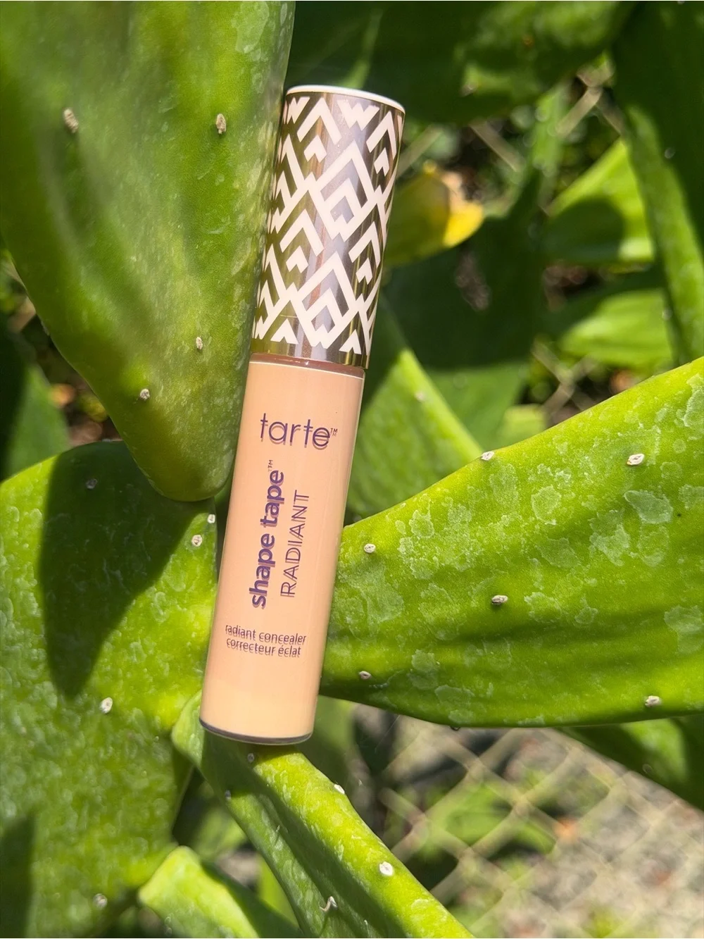TARTE Shape Tape Radiant 35H Med Honey Concealer Double Duty Beauty